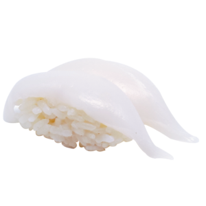 Ika (Squid) Nigiri